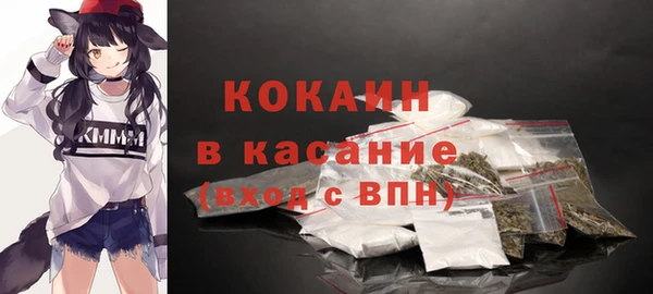 сатива Каменск-Шахтинский