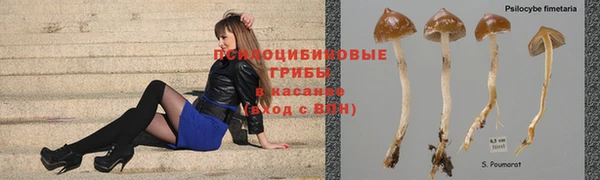 наркотики Каменногорск