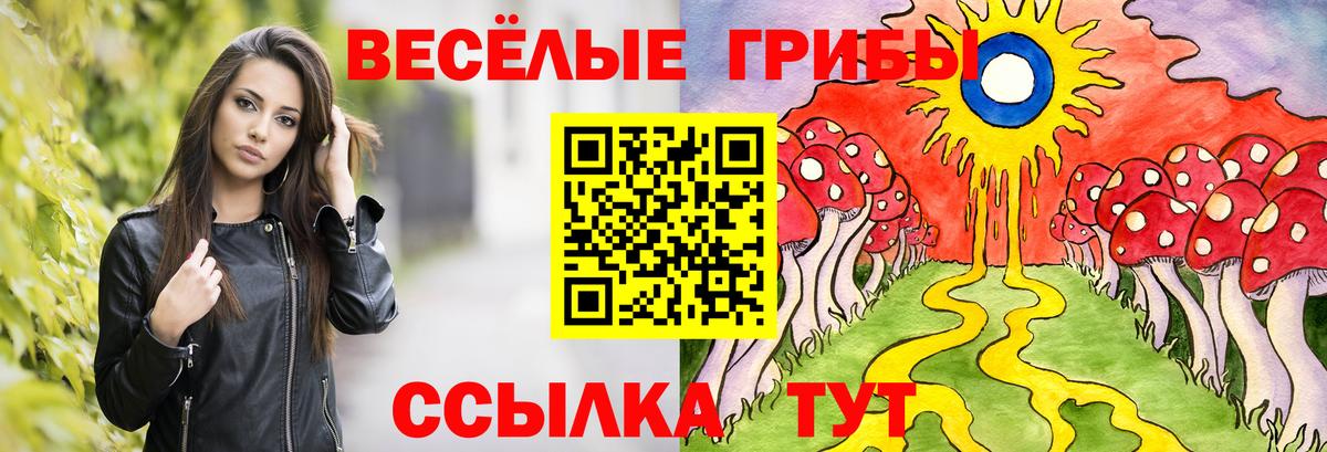 Галлюциногенные грибы Psilocybine cubensis  Галлюциногенные грибы прущие грибы  Вход с VPN  Светлоград 