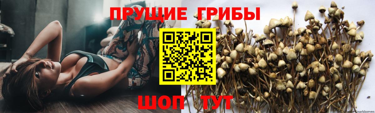 Галлюциногенные грибы ЛСД Светлоград
